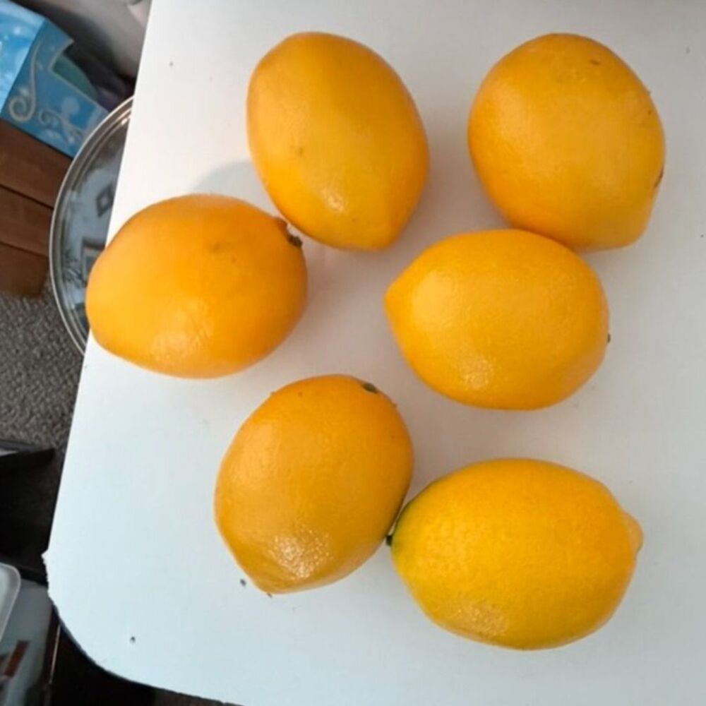 set of 6 vtg artificial lemons for home decor